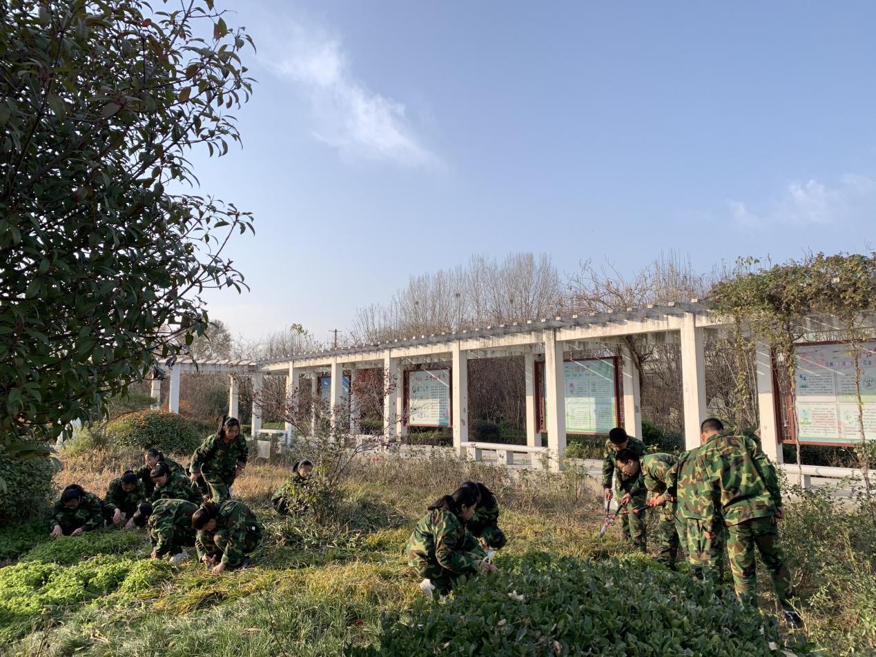 file0007.jpeg file0007.jpeg