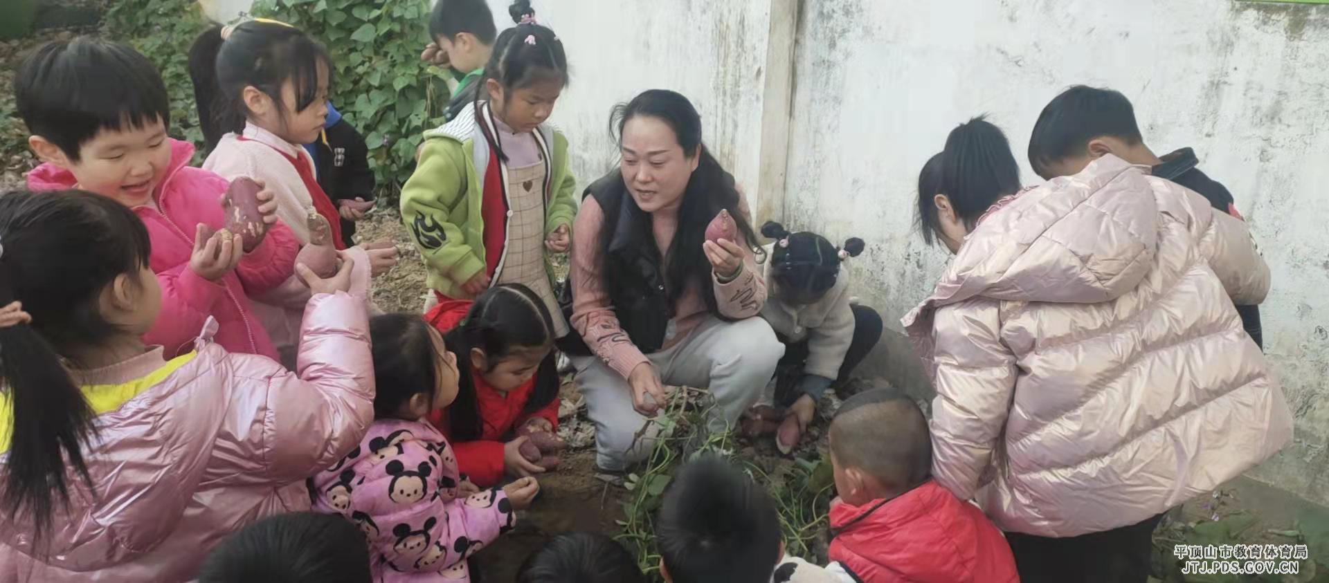 图片1.jpg 图片1.jpg