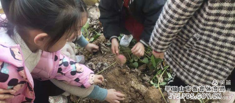 图片2.jpg 图片2.jpg