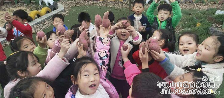 图片3.jpg 图片3.jpg