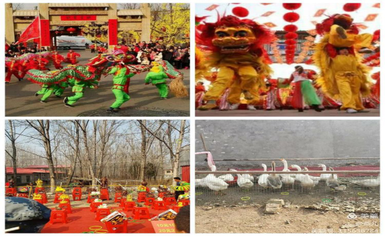 图片5.png 图片5.png