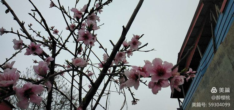 图片18.png 图片18.png