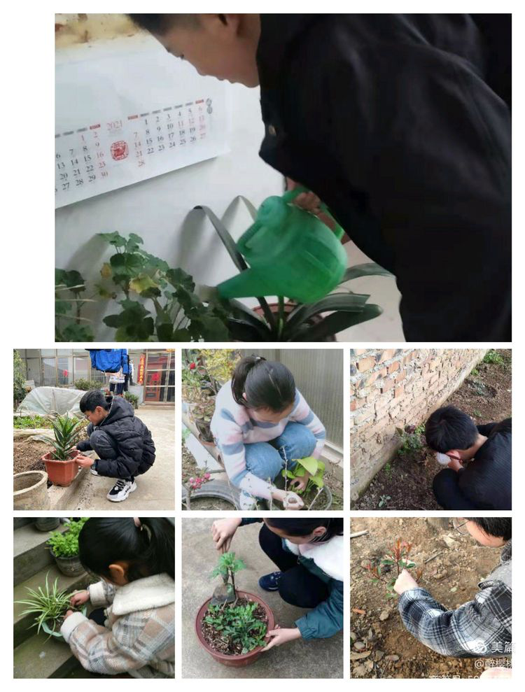 图片11.png 图片11.png