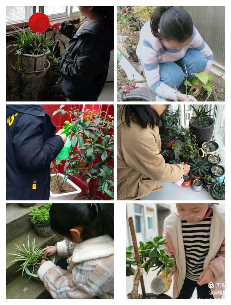 图片12.png 图片12.png