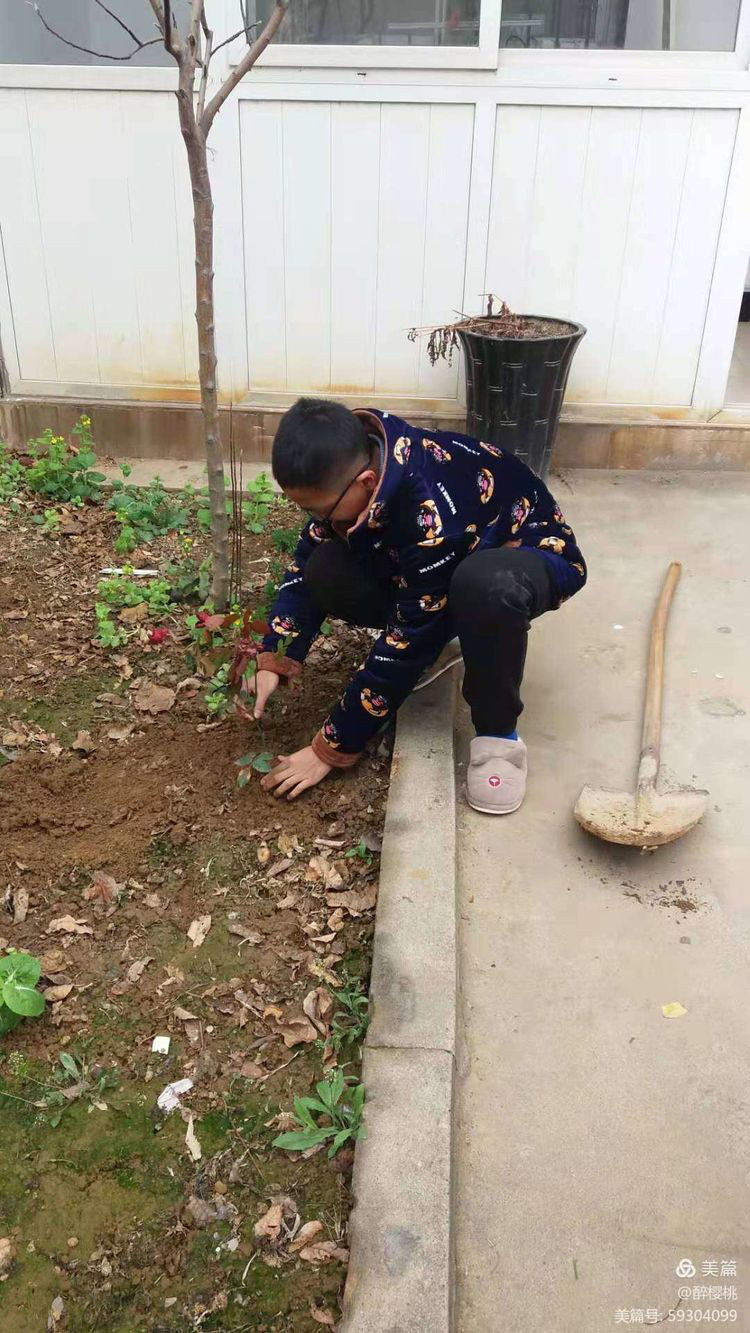 图片16.png 图片16.png