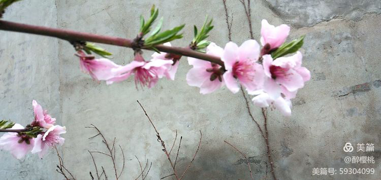 图片17.png 图片17.png