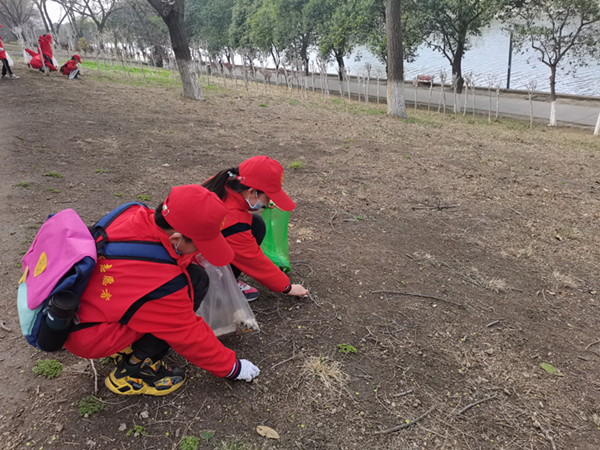 293037972.jpg 293037972.jpg