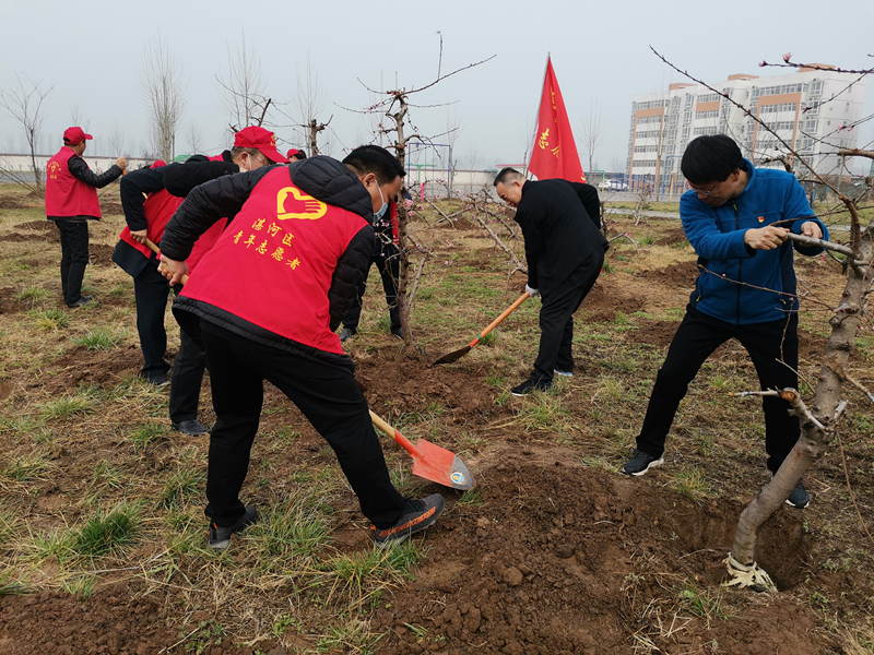 图片20.png 图片20.png