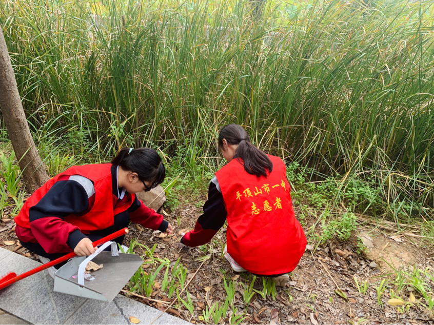 图片24.png 图片24.png