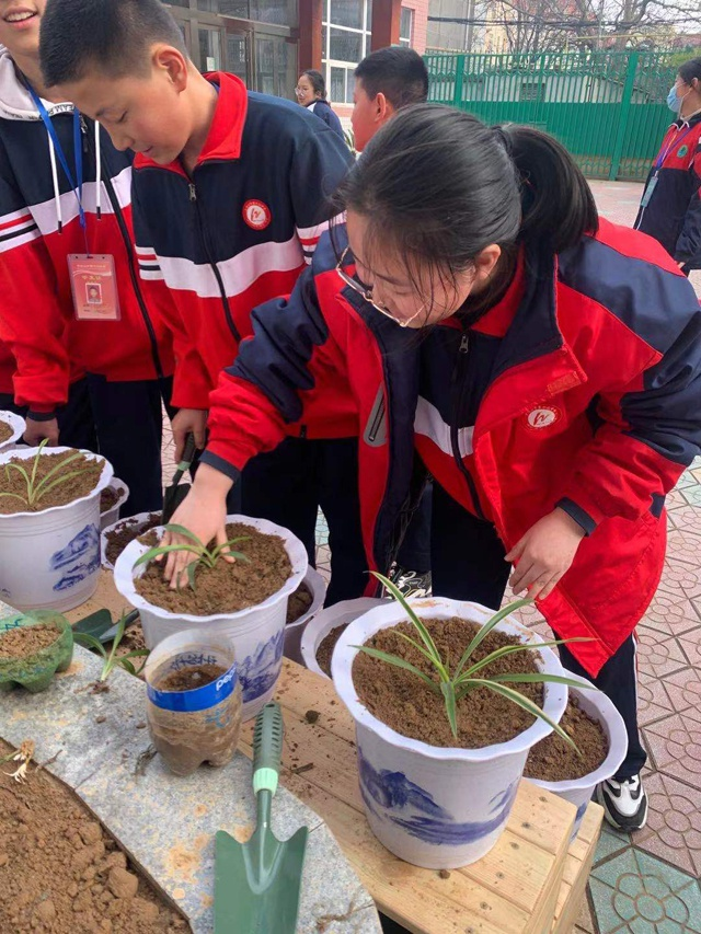 图片26.png 图片26.png