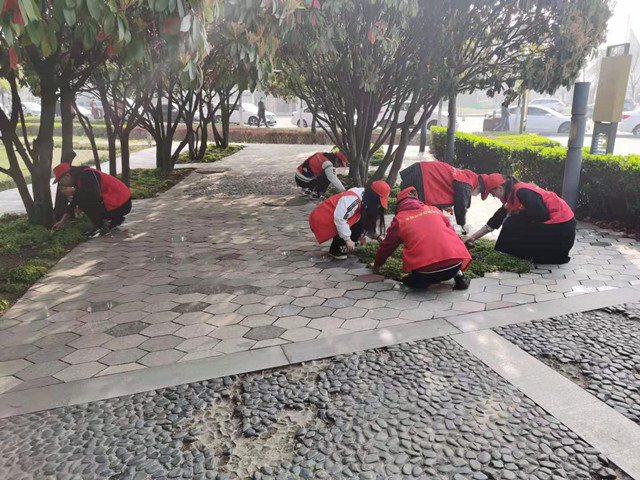 图片15.png 图片15.png