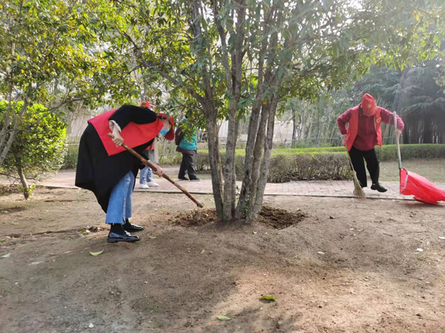 图片16.png 图片16.png