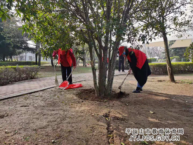 图片17.png 图片17.png