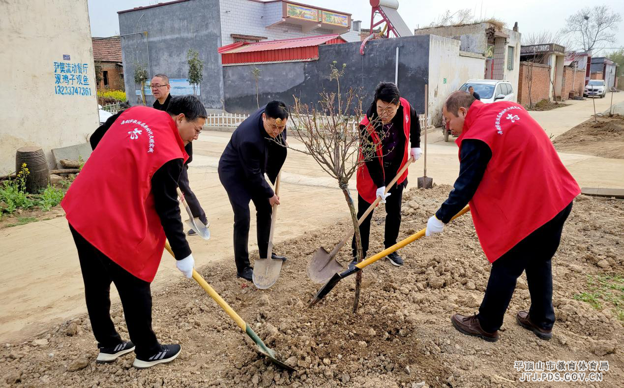 图片8.png 图片8.png