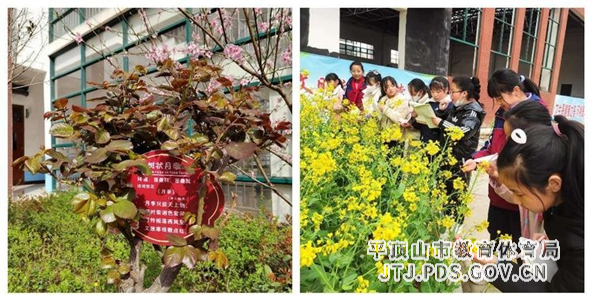 图片2.jpg 图片2.jpg