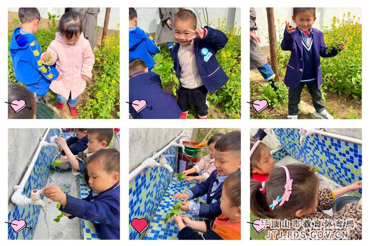 2_副本_副本.png 2_副本_副本.png