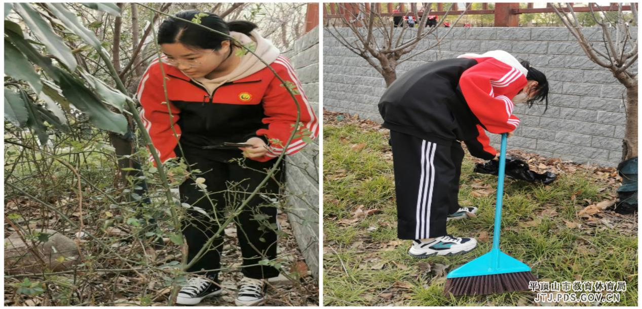 图片1.jpg 图片1.jpg