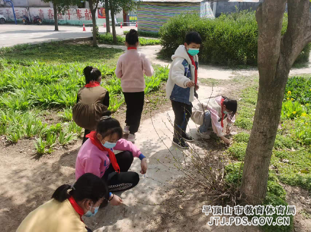 图片42_副本.png 图片42_副本.png