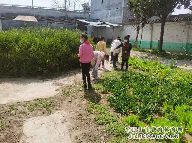 图片43_副本.png 图片43_副本.png