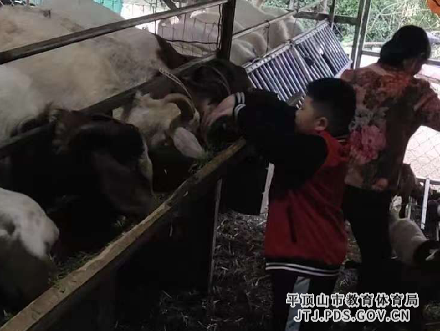 图片7_副本.png 图片7_副本.png