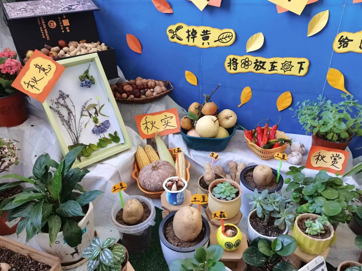 图片7.png 图片7.png