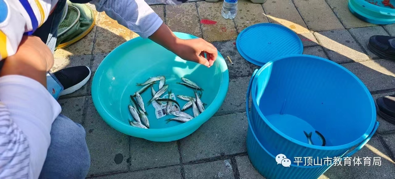 1342195987.jpg 1342195987.jpg