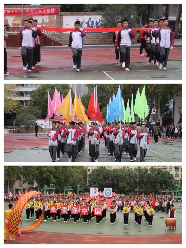 图片43.png 图片43.png