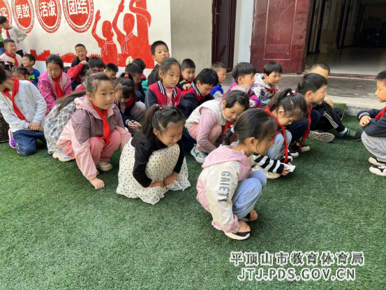 舞钢市第一小学5.12防灾减灾安全疏散演练965.png 舞钢市第一小学5.12防灾减灾安全疏散演练965.png