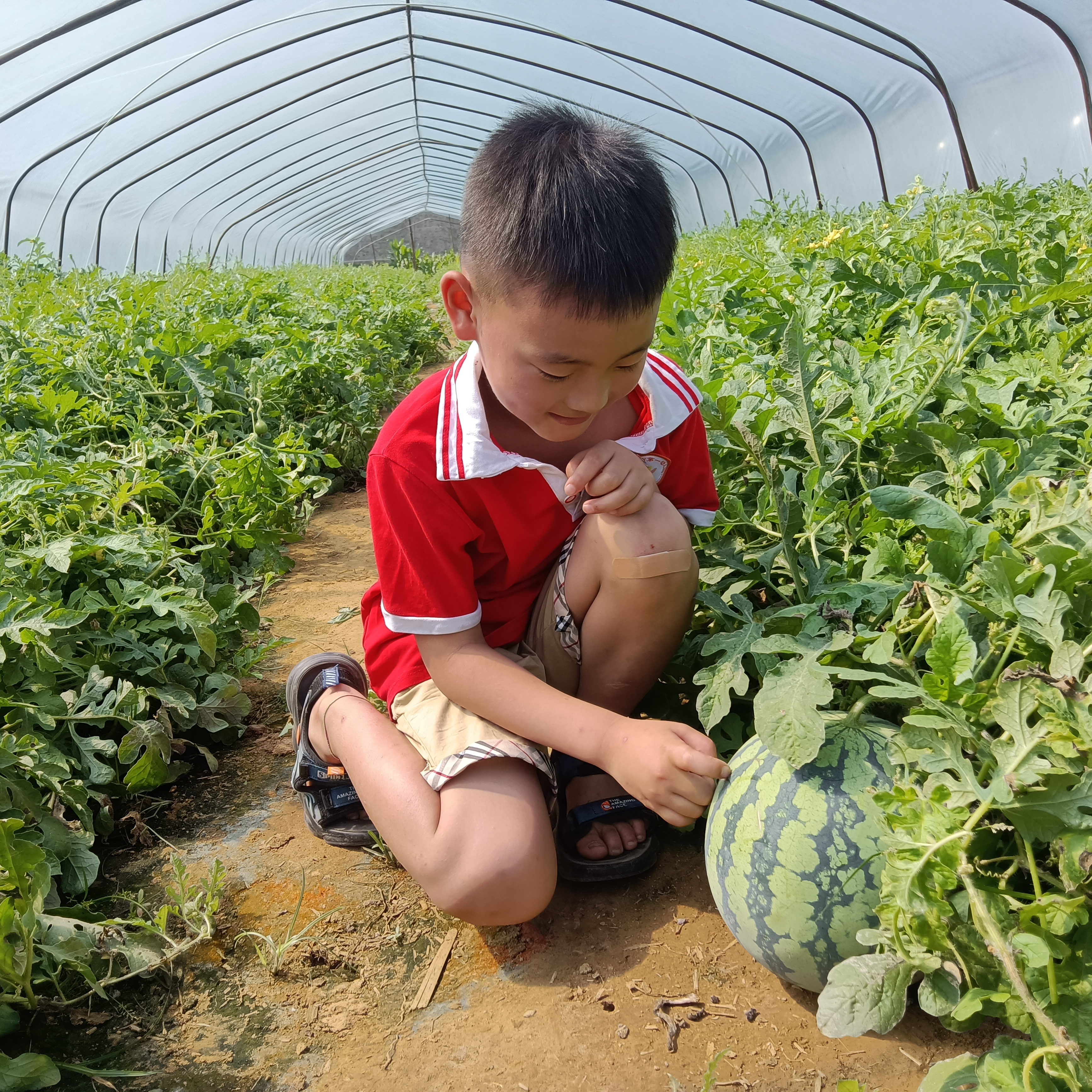 ac99297708a18665938327cf9a5c30f.jpg ac99297708a18665938327cf9a5c30f.jpg