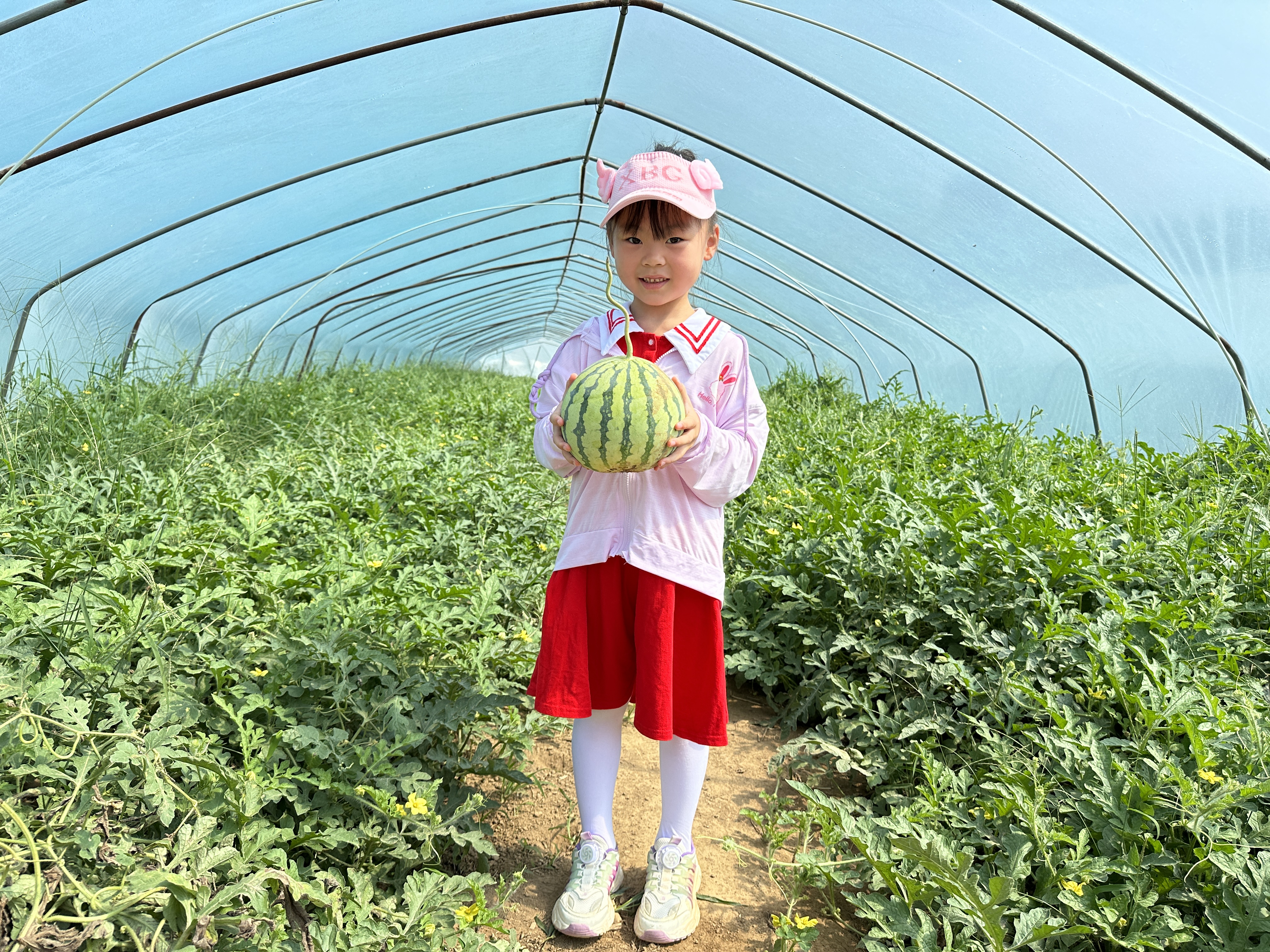 01015f81686f1f9c9bab6261df1a794.jpg 01015f81686f1f9c9bab6261df1a794.jpg