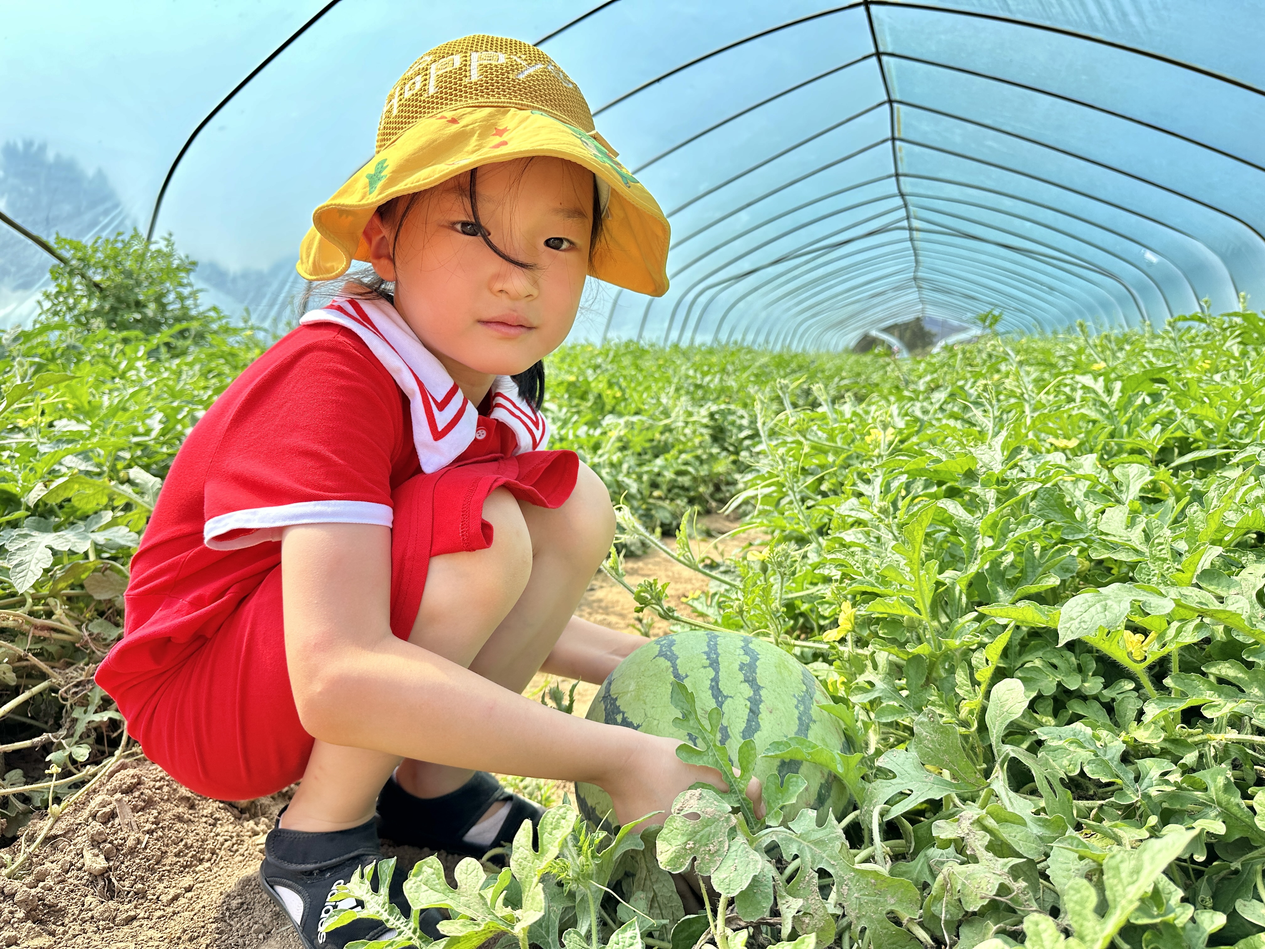 c04b31d2f27f06ce59a2a6b95eef091.jpg c04b31d2f27f06ce59a2a6b95eef091.jpg