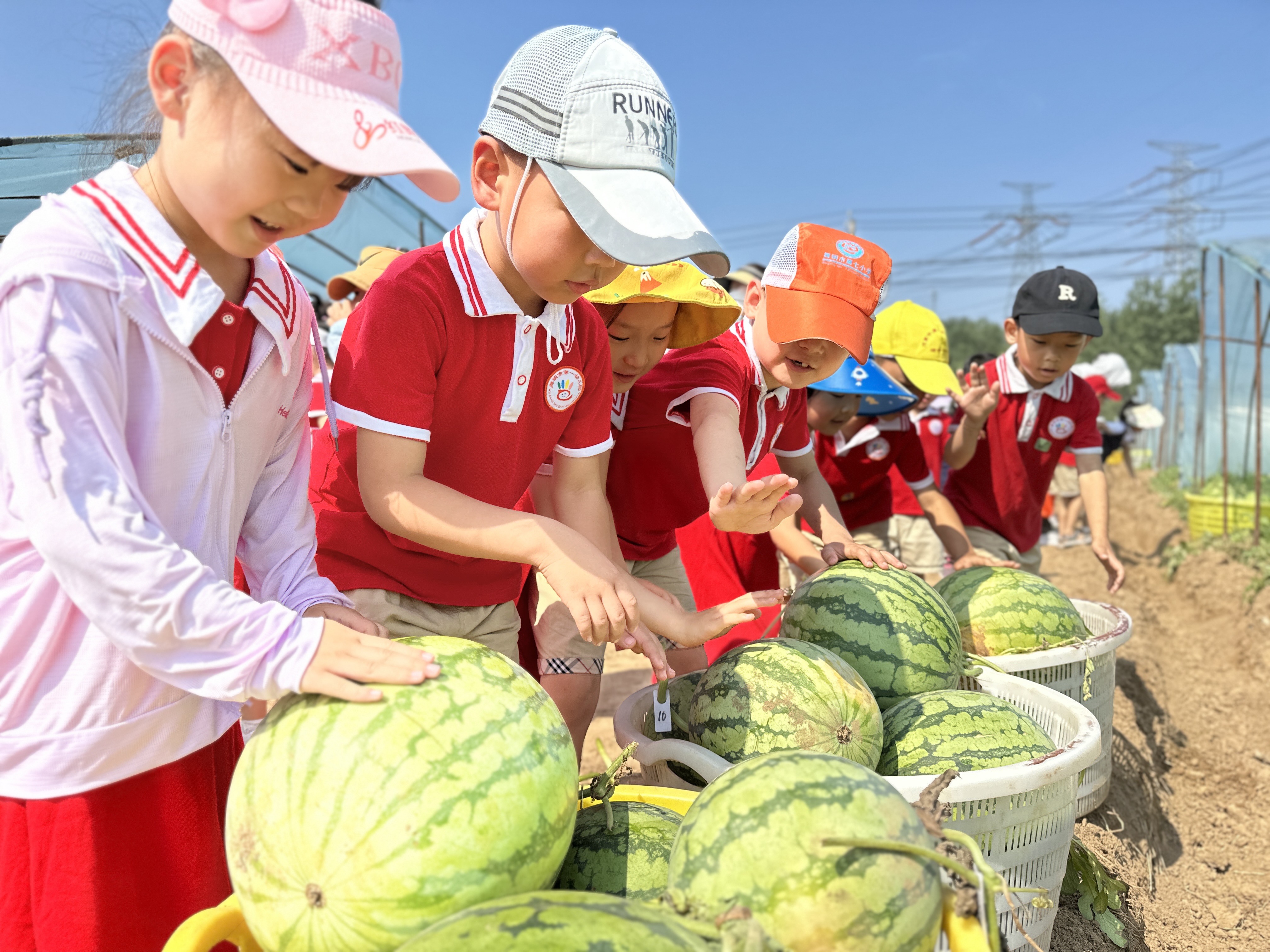 92d94cd337ae4d33a7db30b78380424.jpg 92d94cd337ae4d33a7db30b78380424.jpg