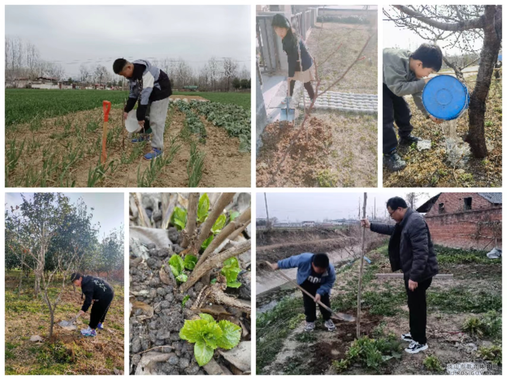 图片256.png 图片256.png