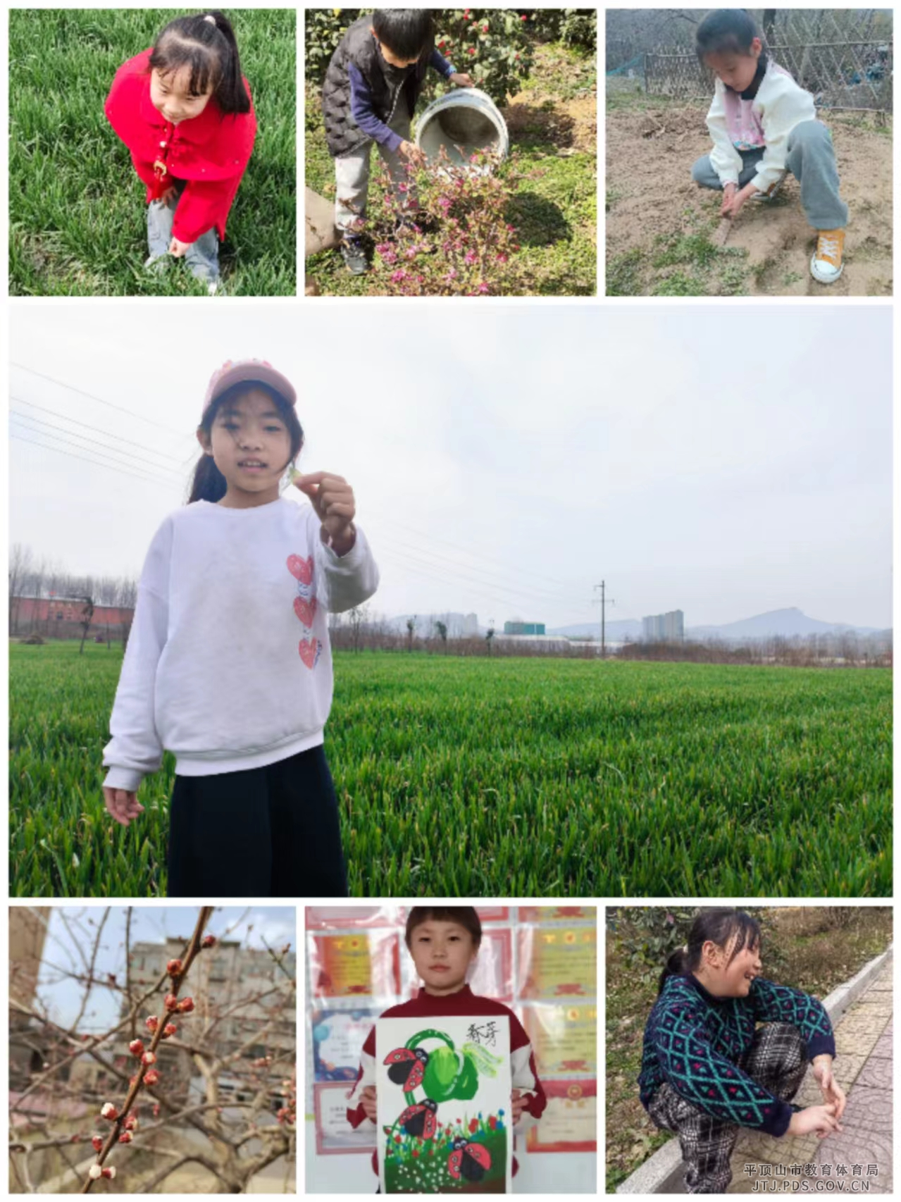 图片257.png 图片257.png