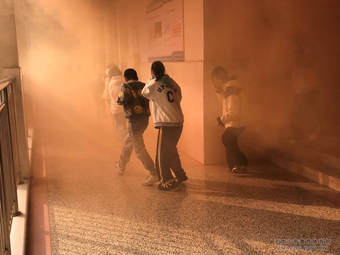 图片239.png 图片239.png