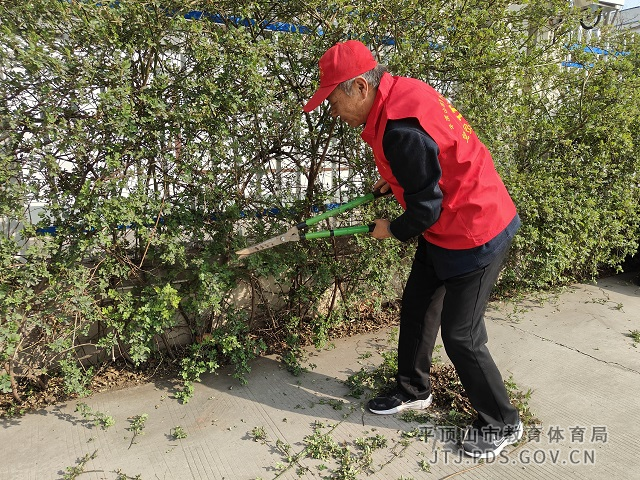 图片260.png 图片260.png