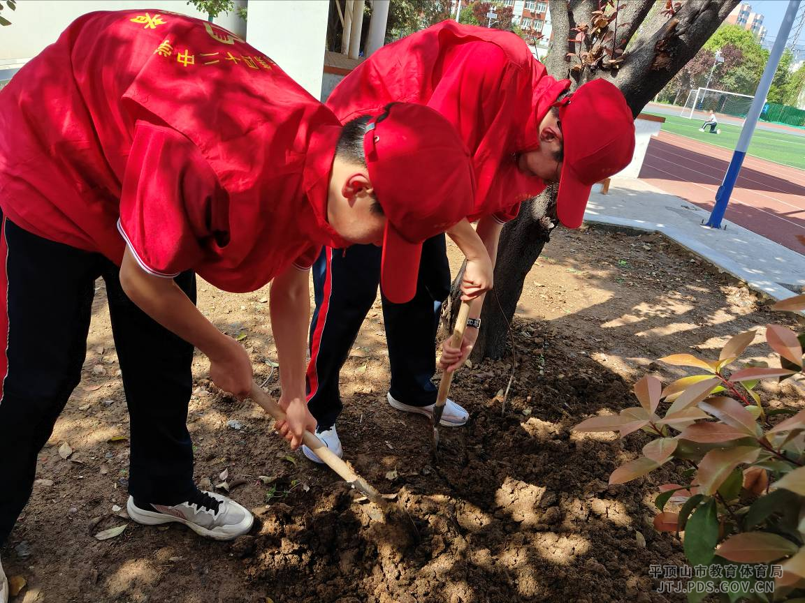 图片4.png 图片4.png