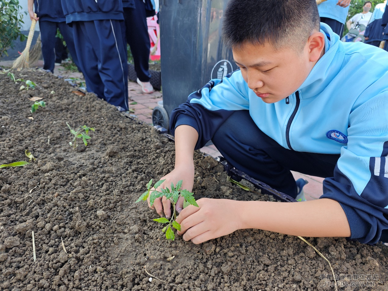 图片3.png 图片3.png