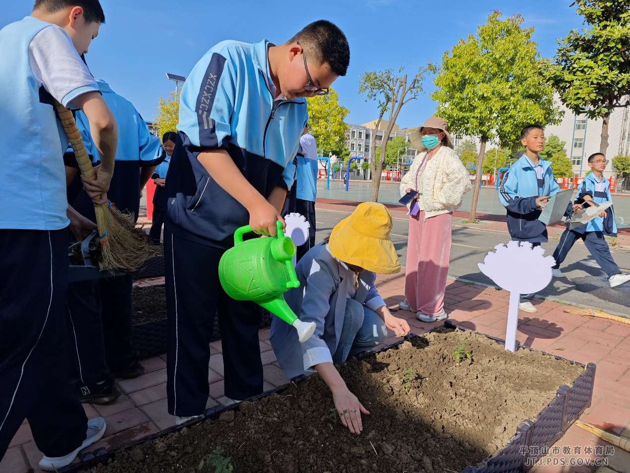 图片5.png 图片5.png