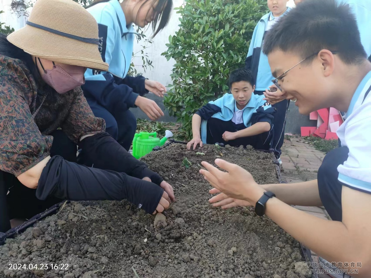 图片6.png 图片6.png