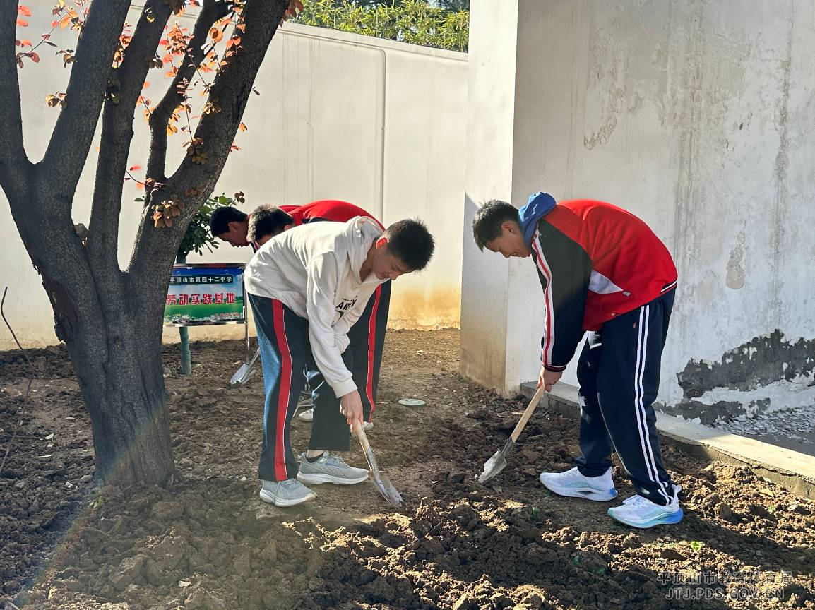 图片2.png 图片2.png