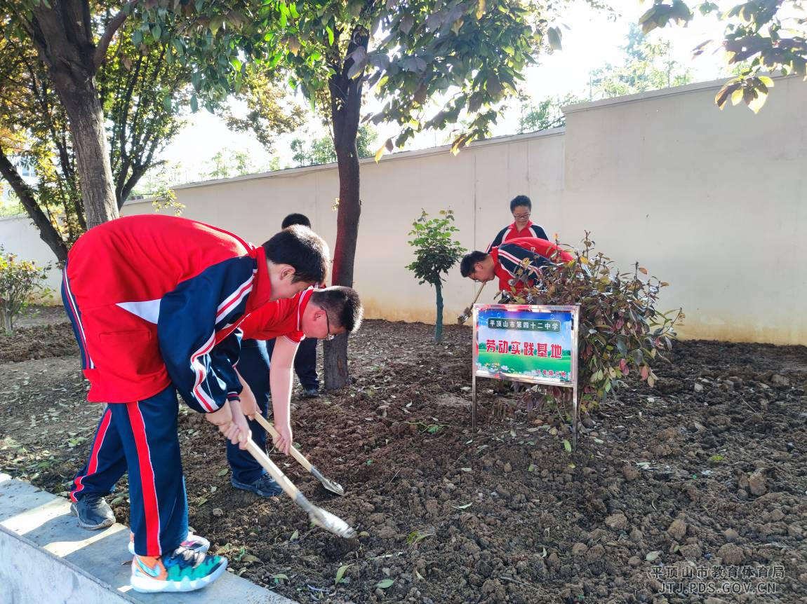 图片1.png 图片1.png