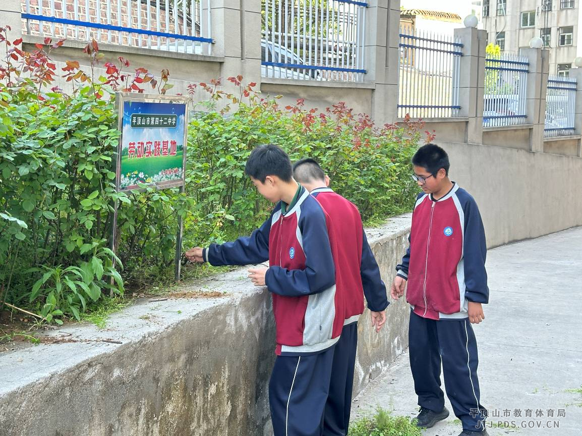 图片5.png 图片5.png