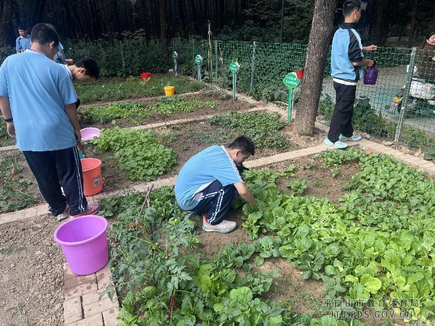 图片2.png 图片2.png