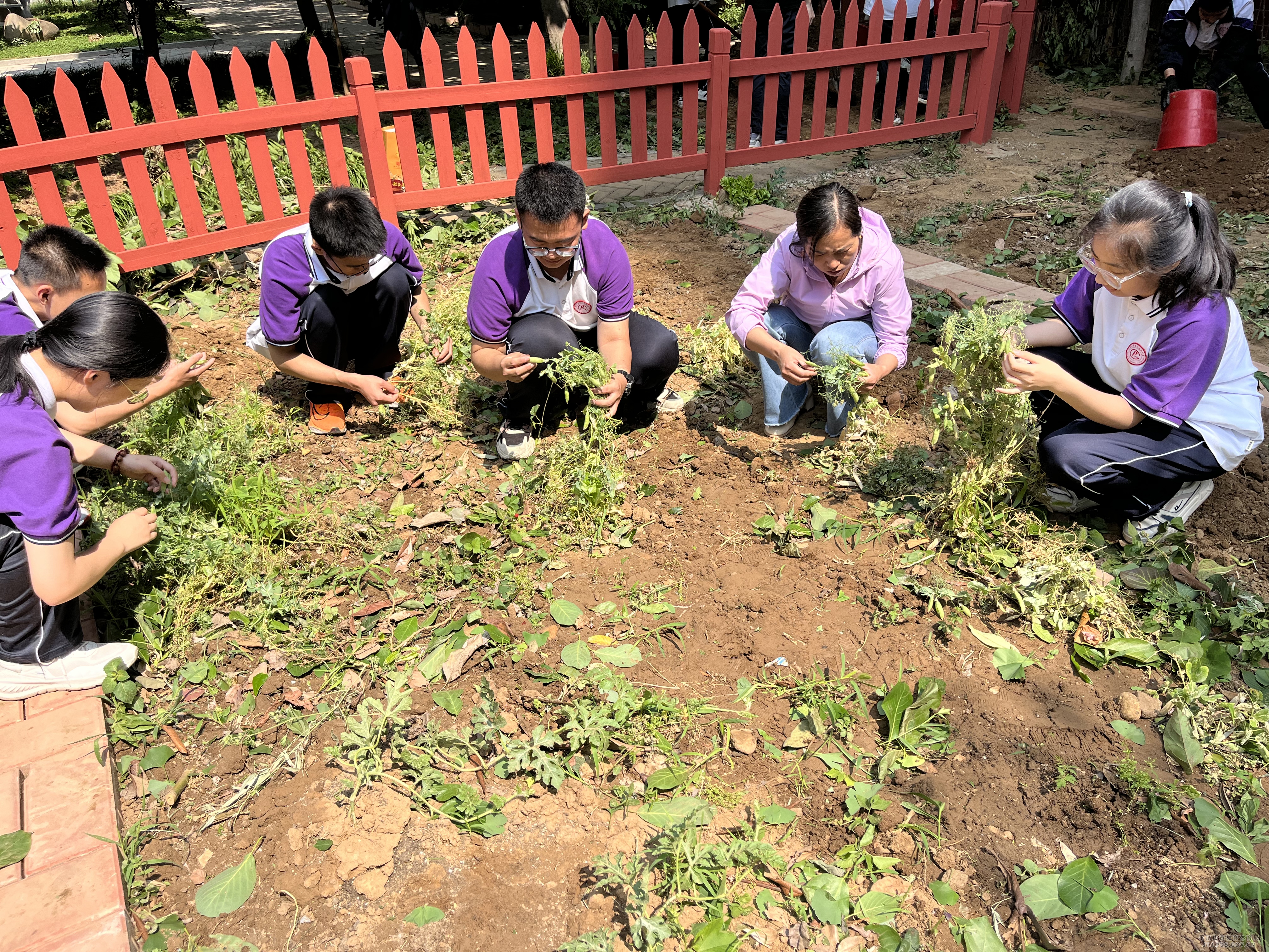 2师生共同认真播种.jpg 2师生共同认真播种.jpg