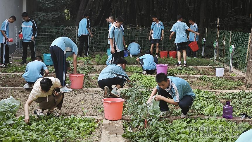 图片3.png 图片3.png